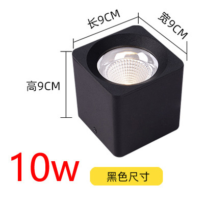 10w white light [6000k] black shell