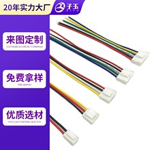 2.54间距端子线端子线红黑排线厂家生产汽车电子线束加工2P连接线
