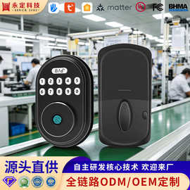 跨境热销指纹锁 美标木门锁按键密码锁涂鸦呆锁 入户智能门锁定制