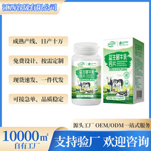 益生菌牛乳钙片营养膳食钙片源头工厂定制成人中老年蛋白质咀嚼片