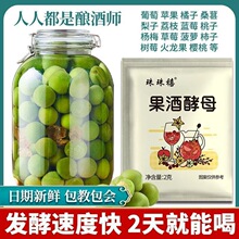 果酒专用酵母正宗果酒曲子自酿葡萄酒水果酒曲甜酒曲甜酒酿家用