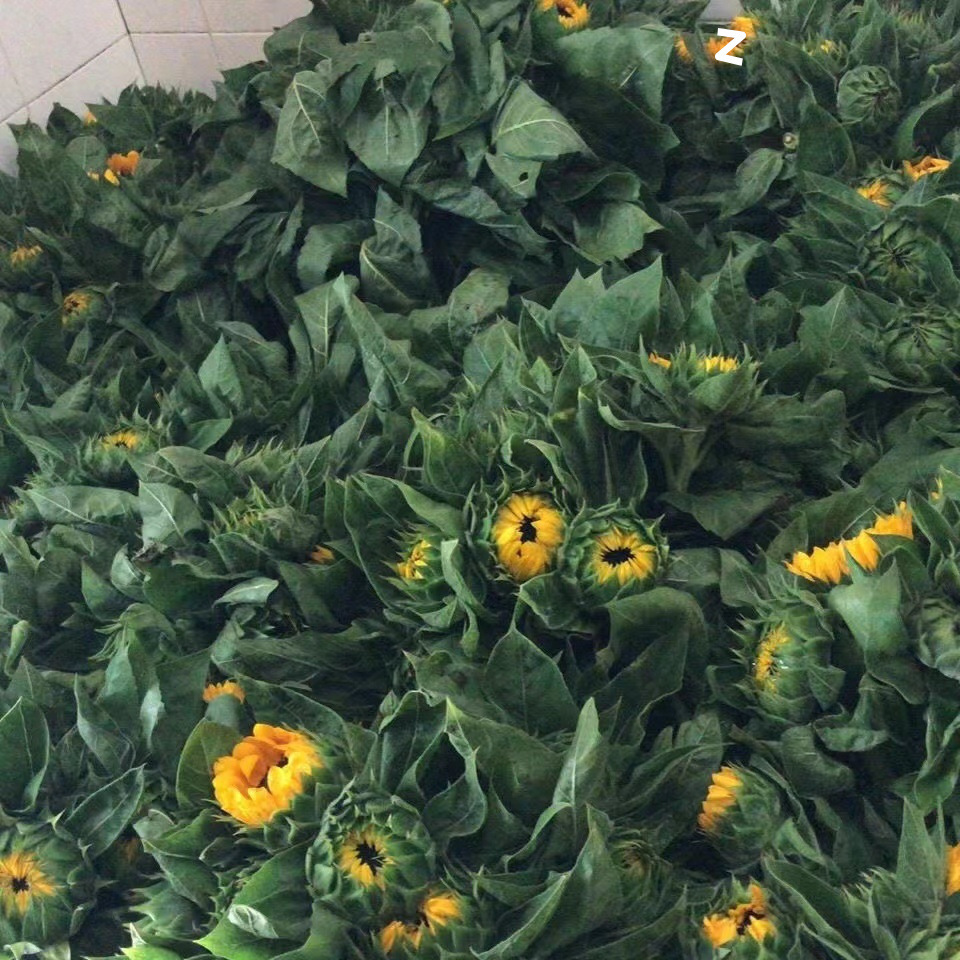 7a3ff86e-eaa5-479c-ae8c-4053b4701054.jpe