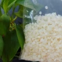 吸收异味化工tegopy88除味剂