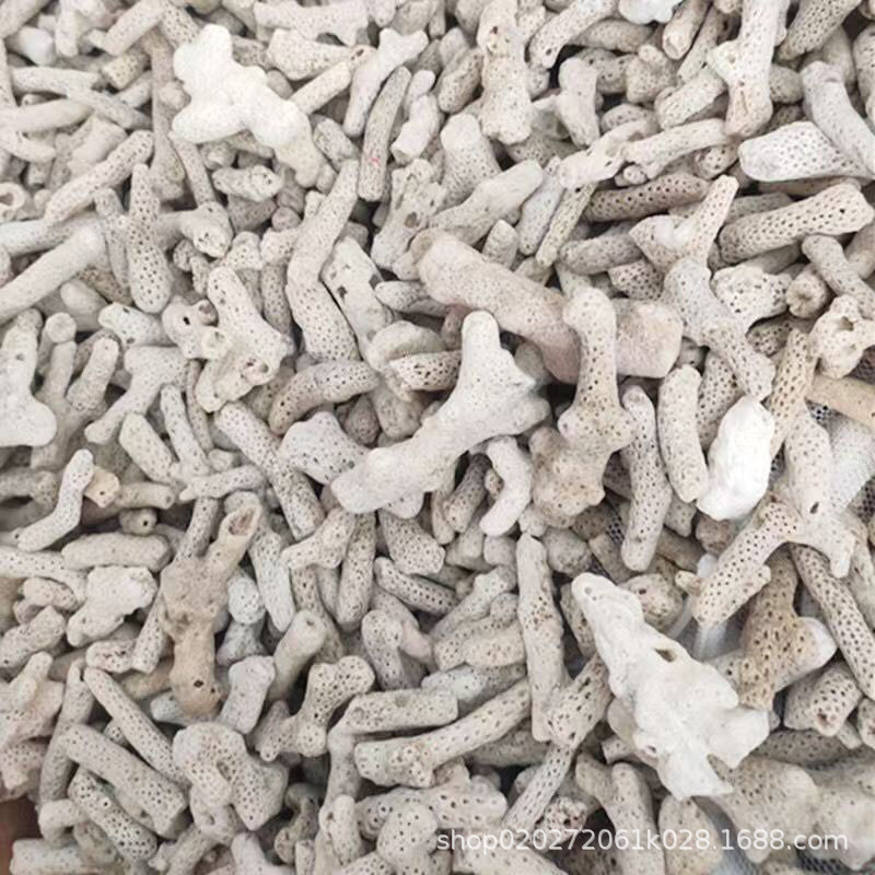 Coral Stone Fish Pond Filter Aquarium Aquarium Filter Material Coral Sand Fish Tank Landscaping Coral Bone Used to Adjust Ph Value