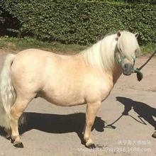 �������u���^�����T���õ�С���R���w�ć��a���R�����T�ᰫ�R���U