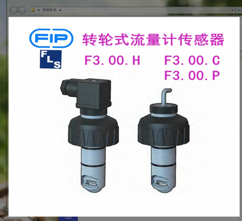 意大利FIP转轮式流量计F3.00.H.01 格林韦德传感器