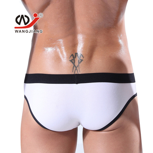 Men's underwear wholesale foreign trade export network separates WJ space capsule pure cotton briefs J egg 2002SJ
