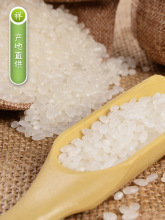 �|������10�� ������������20��A���r�ҬFĥ���׾��׼�������5kg