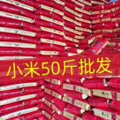 卸売キビイエローキビ内モンゴル赤峰アオハン小黄米 25kg 食用バルクお粥もち米新米