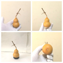 xyt��Ȼ���J�ˌ�������ֶ��ְ�����С�����S���Ѽ����D�xُһ��