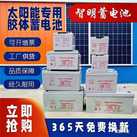 太阳能专用胶体蓄电池12V100Ah铅酸免维护200A监控光伏逆变器路灯