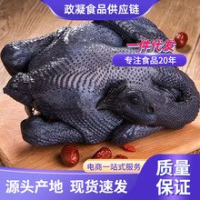 ɢ�B�����u�F�����r���u�r�Ҟ��uС���u���u���r��ĸ�u�ߵ��u��ֻ