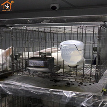 ���P�ƽ��܌�����û\����\�\������\���N����Ͳ�