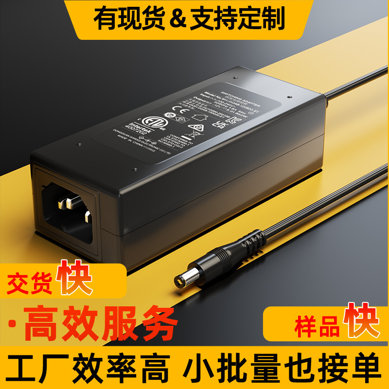 12V5A Power Adapter Monitor 3C European Standard Ce Certified Massager Beauty Instrument Power Supply 60W Adapter