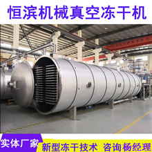 商用大型冻干机水果蔬菜真空冻干机宠物粮食品真空冷冻干燥机