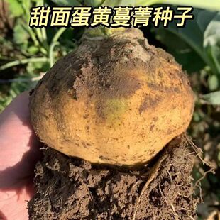 �S��ݼ�N���＾�����S��ݼ�S����^�˿��͟����Sɫ���浰�߲˷NZ