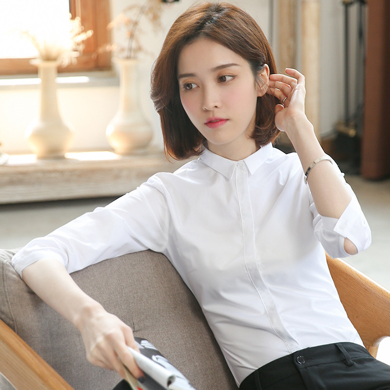 작은 칼라 화이트 241