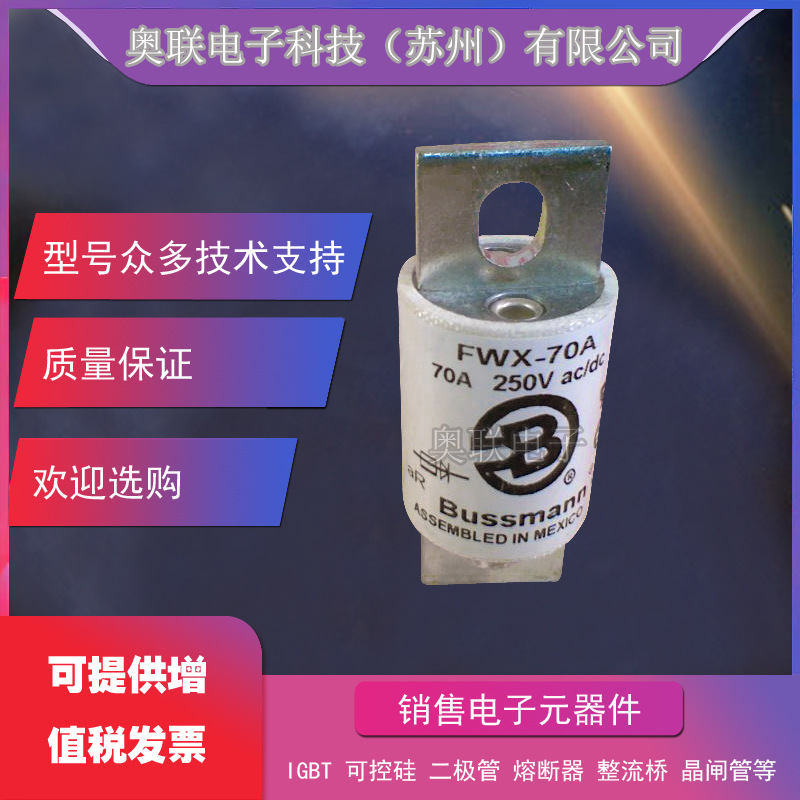 FWX-70A FWX-80A FWX-90A FWX-100A巴斯曼/BUSSMANN熔断器