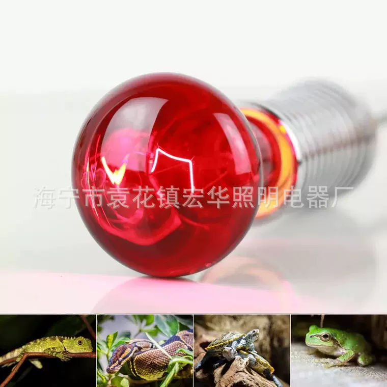 厂家热卖 R63 R80宠物加热取暖灯泡  照明 宠物晒背灯泡  普通灯