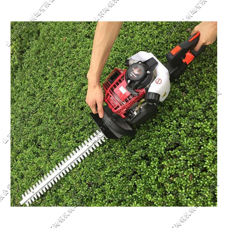 小型背负式园林绿化修剪机 粗枝篱笆重剪整形机 林木茶树修枝机