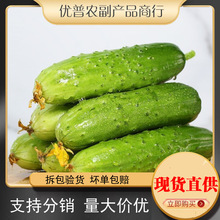 ��������ͷ�綫�����ƹϴ̻ƹ�С������ɿ�ũ��ζ����ժ�ַ�
