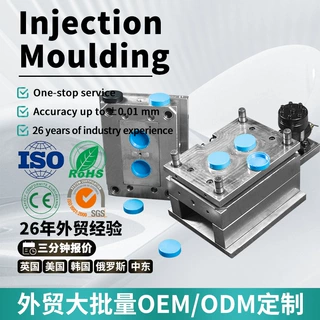 厂家生产定制多腔模具注塑塑胶模具开发精密塑料盖子开模注塑加工