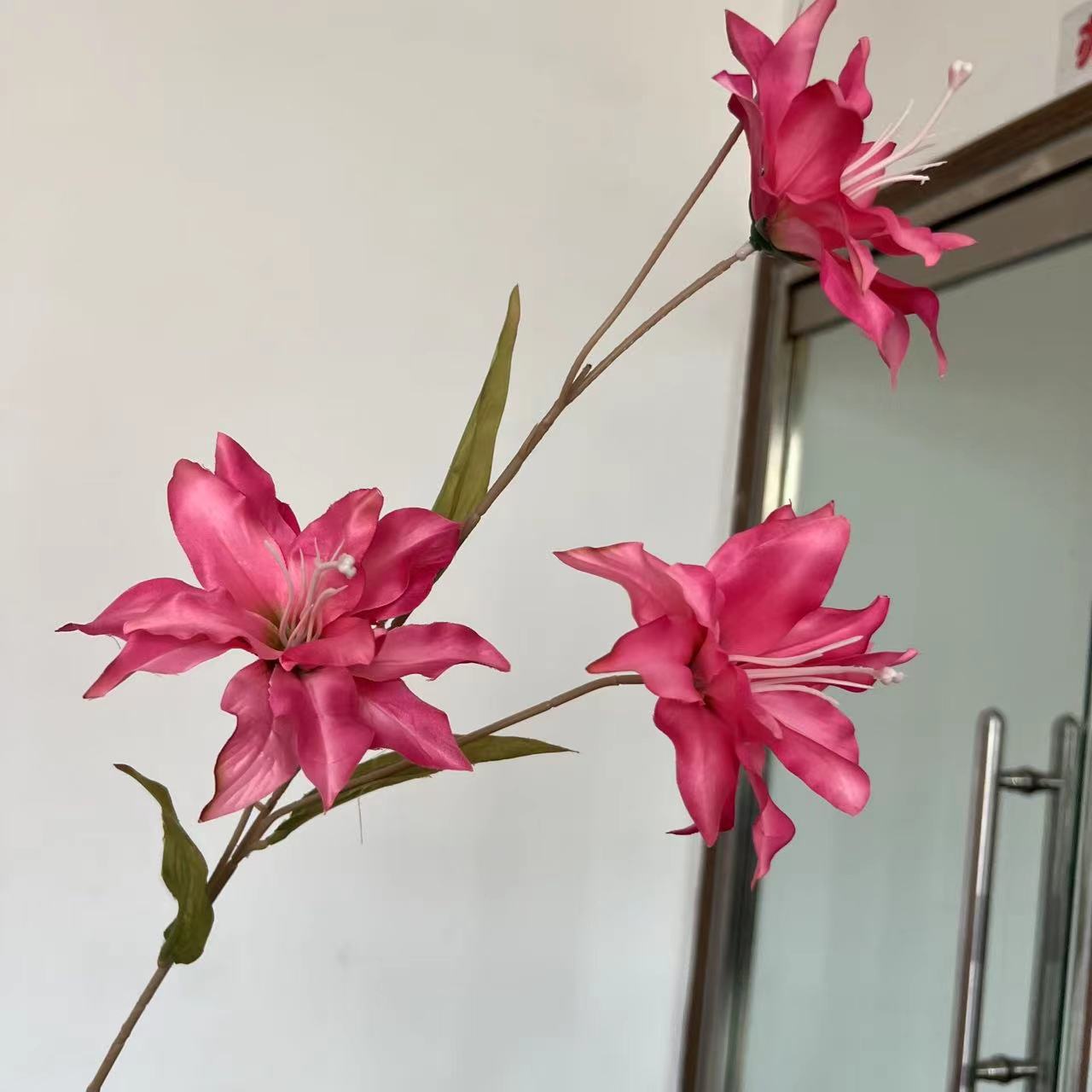릴리