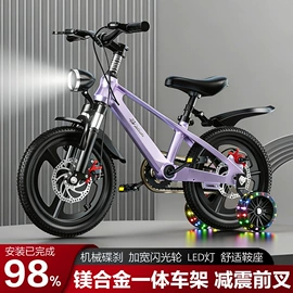 山地自行车;自行车;折叠自行车