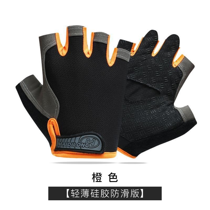 일반 오렌지