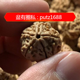ɢ��������ɢ�Q�����Ჴ�������ִ��������؛Դֱ��ɢ�Q��ľ
