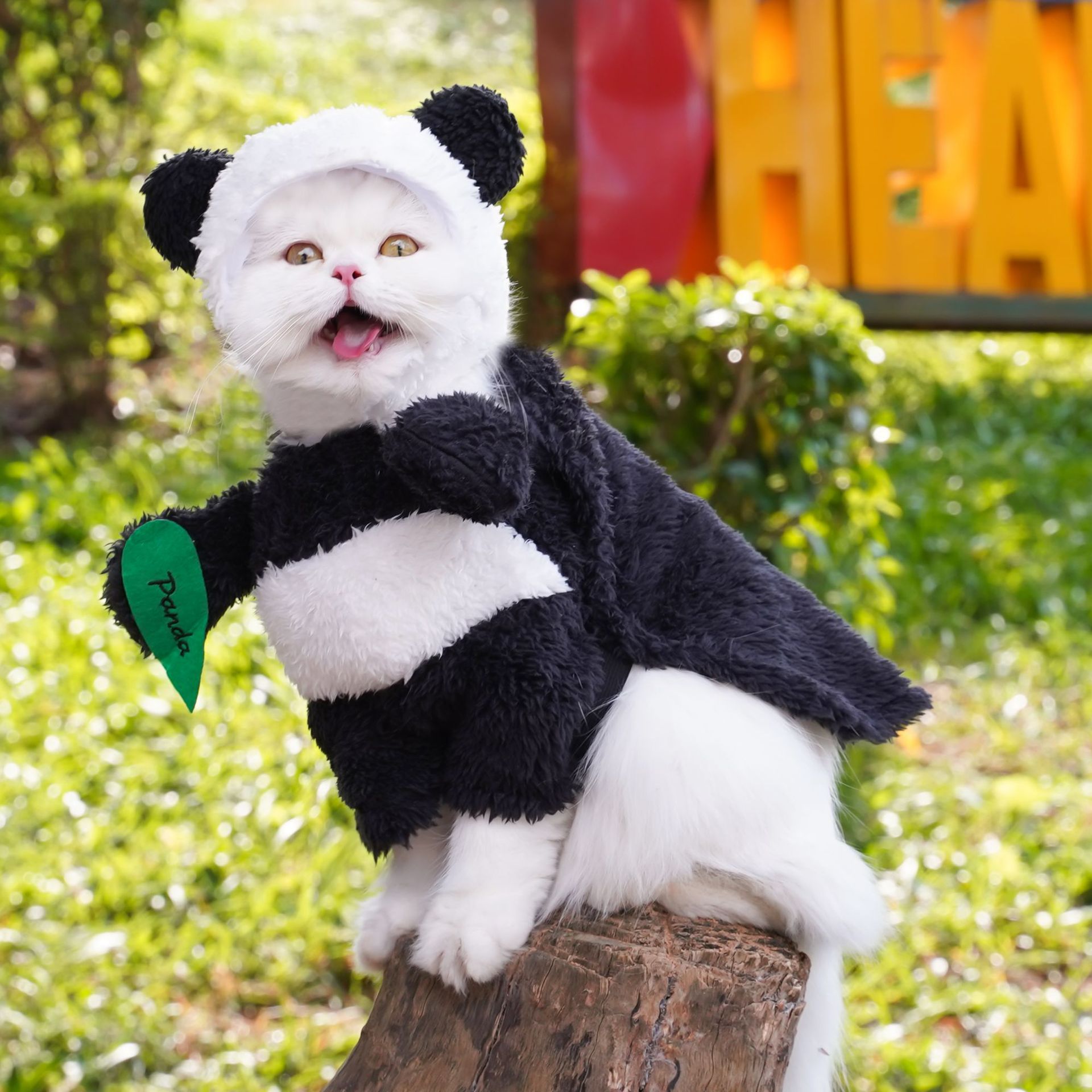 Ropa para mascotas Amazon transfronteriza Panda de pie transformación traje divertido oso de peluche perro gato ropa
