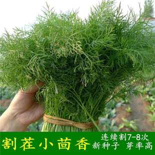 �������N�� С����N�� �������ϷN���ļ����N�߲��̨���ԷN��