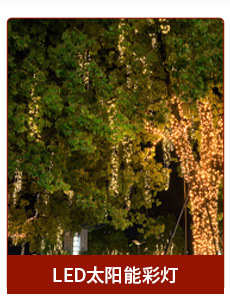 微信图片_20240307170153_05