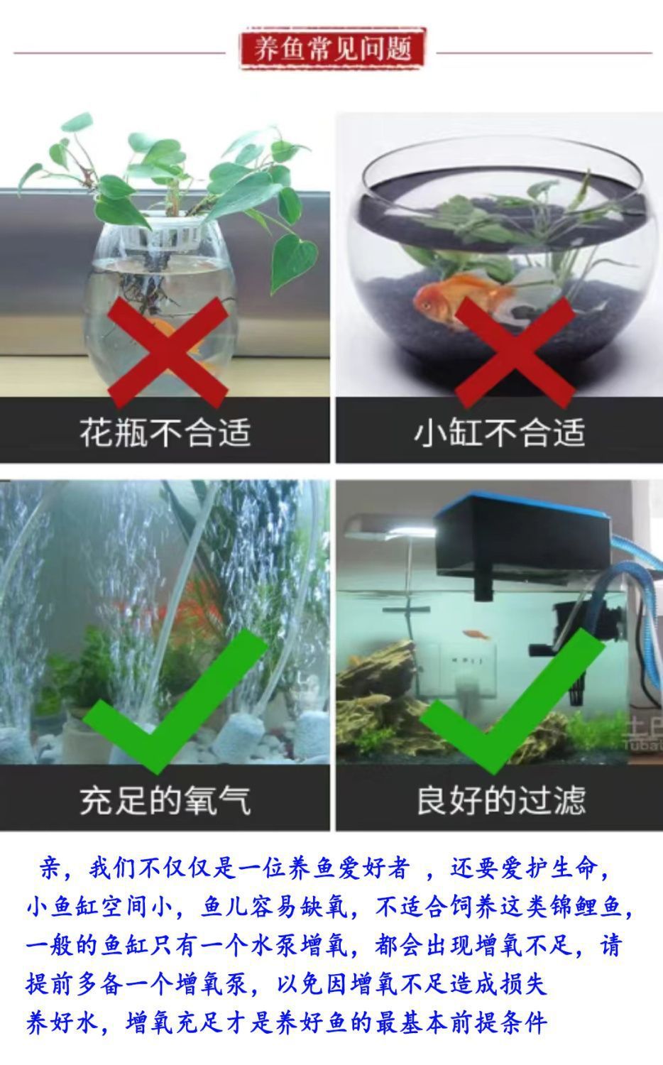 01213ba6-2895-496c-815b-12bdcf02c0f4.jpe