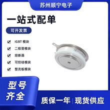 5STP24L2800 ROPEX������_RES-40  �ɿع�ģ�� ȫ��ԭװ �ֻ�