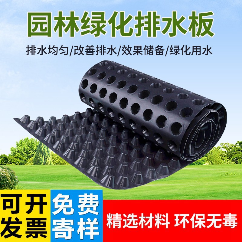 厂家直销批发HDPE卷材排水板凹凸型的蓄疏水板屋顶绿化地下层花园