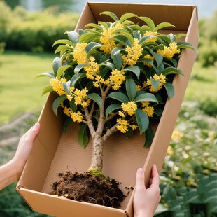 �𻨘������Խ���_���҃��̨ͥԺ����ֲ���ļ���С���ͺ������l