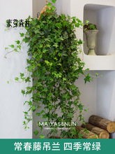 ٵmֲ҃Աڒ젝GֲLٵ@ទҒȩ