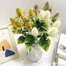 ����Gֲëë��Ұ���ۼٻ���c�쾰�҃ȼҾ��b����յ��߼�ֲ��