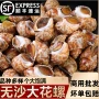 商用冷冻水产大号花螺