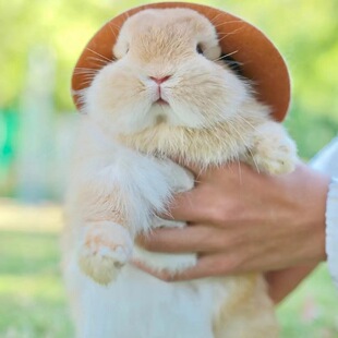 ��������Ʒ�N���DƬ�����õăr������Xһֻ����һվʽ�������w