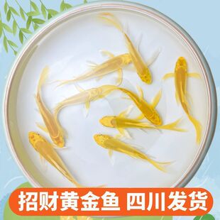 ����䁟��N���S����ؔ�\���Lˮ�~��ˮ���B�ͻ���ˮ�~С�~�^�p�~�S