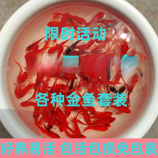 ���~���\��С���~���^�p�~�ͻˮ����~������B���B��ˮ