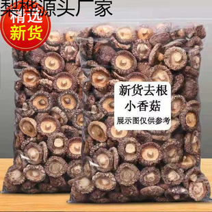 2025�㹽���_��؛���ظ����خa�Ƀ�С�㹽�������u�r��Ģ�����l�S