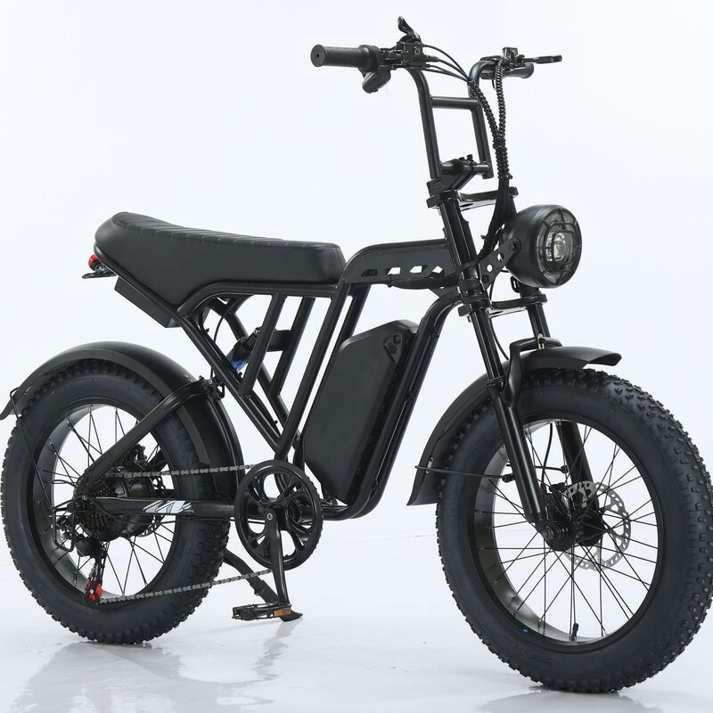 New Model Electric Bicycle from the Us, 20inch Pedal-Assisted Bicycles, 48V, Overseas Warehouse Dropshipping