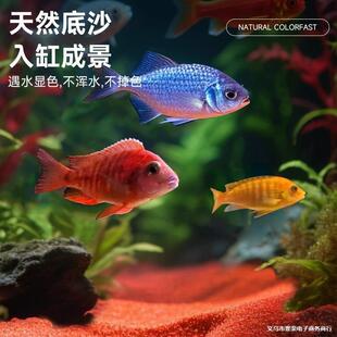 ���Ӽt��ɳ�~�׵�ɳ�tɳ��Ȼ���yɳɳ��ˮ��ɳ���~�׵�ɰ�쾰䁵�