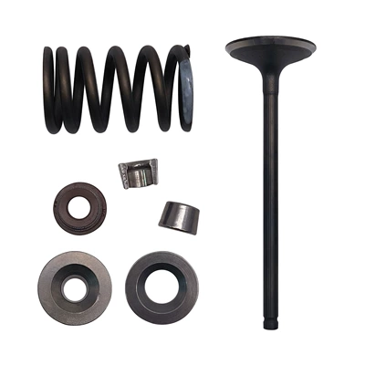 C5 intake valve – Motorcycle engine and accessories