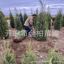 ؘluؾGhľͥԺԴuؘ͘