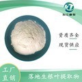 化妆品原料 落地生根叶提取物98% 淡黄色粉末 日化级 500克起订