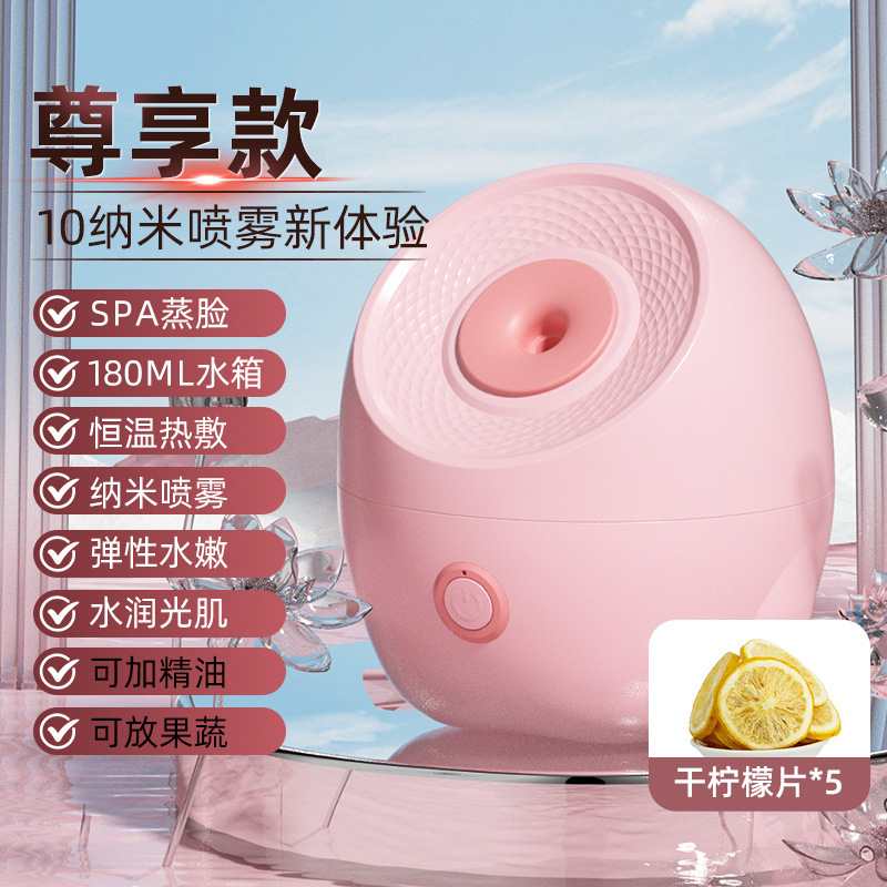 纳米冷热双喷蒸脸器家用补水喷雾机热喷蒸脸仪毛孔蒸汽脸部美容院|undefined